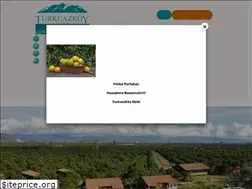 Sites similar to turkuazkoy.com