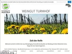 Sites similar to turmhof.at