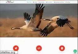 Sites similar to turnatasarim.com