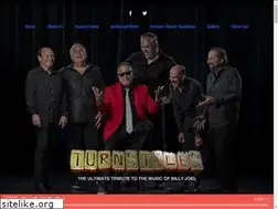 Sites similar to turnstilestributeband.com