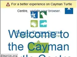 Sites similar to turtle.ky