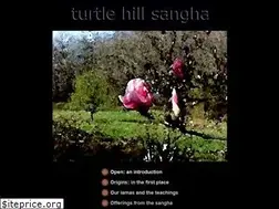 Sites similar to turtlehill.org