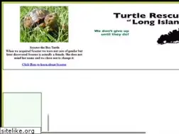 Sites similar to turtlerescues.com