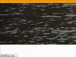 Sites similar to turtletubing.com