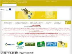 Sites similar to turulgyogyszertar.hu