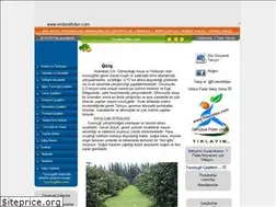 Sites similar to turuncgiller.com