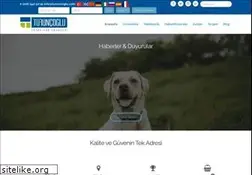 Sites similar to turuncoglu.com