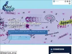 Sites similar to tutoweb.net