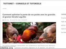 Sites similar to tuttonet.com
