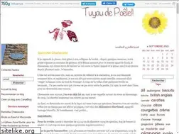Sites similar to tuyaudepoele.canalblog.com