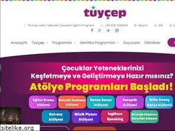 Sites similar to tuycep.com.tr