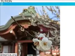 Sites similar to tuyon.com