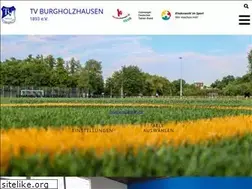 Sites similar to tv-burgholzhausen.net