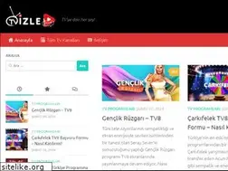 Sites similar to tv-izle.com