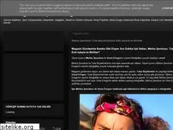 Sites similar to tvalemi.blogspot.com