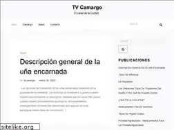 Sites similar to tvcamargo.com.mx