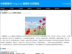 Sites similar to tvtsg.com