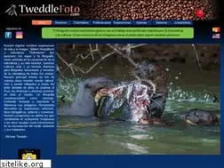 Sites similar to tweddlefoto.com