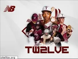Sites similar to twelvebaseball.com