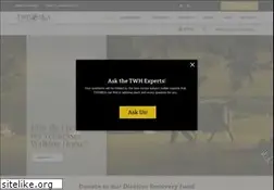 Sites similar to twhbea.com