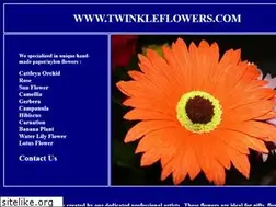 Sites similar to twinkleflowers.com