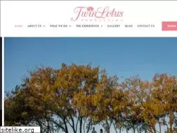 Sites similar to twinlotusproduction.com