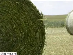 Sites similar to twins-farm.es