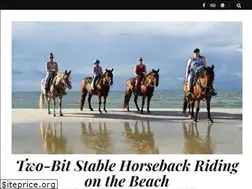 Sites similar to twobitstable.com