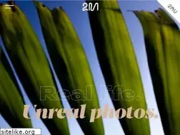 Sites similar to twomann.com