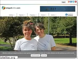Sites similar to txingudionline.com