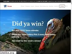 Sites similar to txnwtf.org