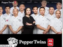 Sites similar to txpeppertwins.com