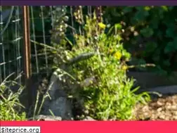 Sites similar to tyontekijoita.fi