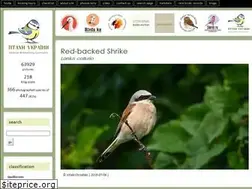 Sites similar to uabirds.org