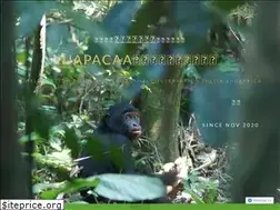 Sites similar to uapacaa.org