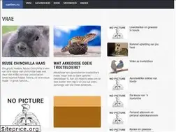 Sites similar to uarihes.ru