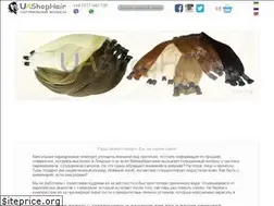 Sites similar to uashophair.com