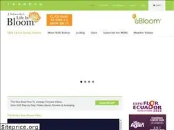 Sites similar to ubloom.com