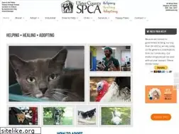 Sites similar to ucspca.org