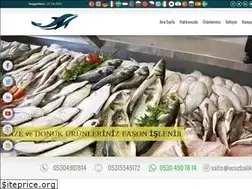 Sites similar to ucuzbalik.com