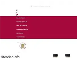 Sites similar to ucuzcularspices.com