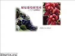 Sites similar to uehara-grapes.jp