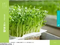 Sites similar to ueharaen.co.jp