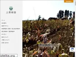 Sites similar to ueharajubyo.com