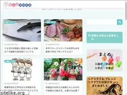 Sites similar to ufufu-style.com