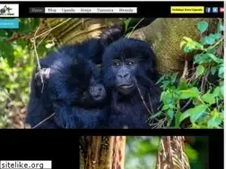 Sites similar to ugandaletsgotravel.com