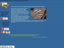 Sites similar to uglyducklinglures.com