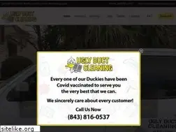 Sites similar to uglyductcleaning.com