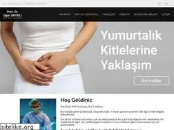 Sites similar to ugursaygili.com