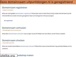 Sites similar to uitpuntdongen.nl